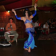 Blue belly dancer